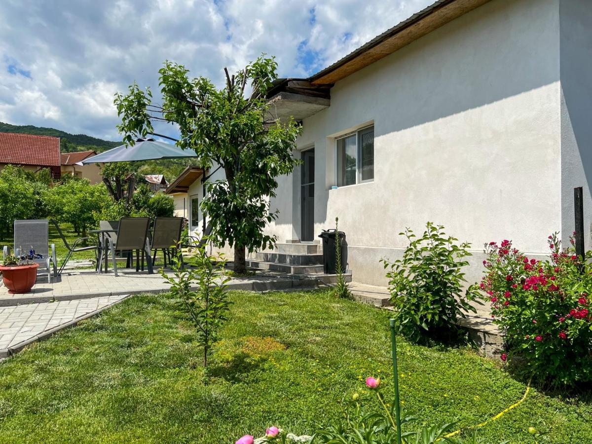 Casuta De Vacanta Villa Calimanesti Exterior photo